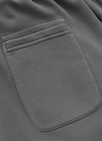 Men's Washed Lancaster II Jogging Pants - Grey